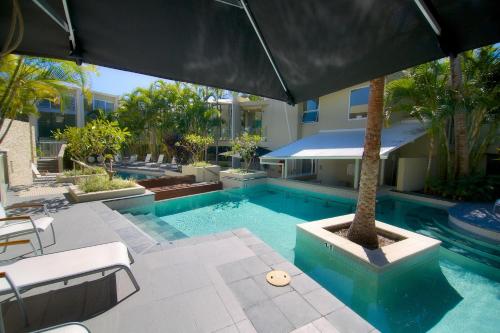 a swimming pool with a palm tree and an umbrella at The Beach Cabarita in Cabarita Beach