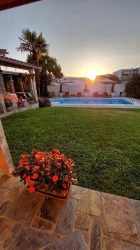 a pot of red flowers sitting on the grass at Villa dos Corcéis in Esposende