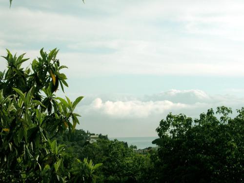 a view of the ocean from the trees at Jasna - apartman studio in Pula