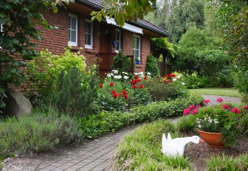 Zahrada ubytování Ferienhaus Glücksfall