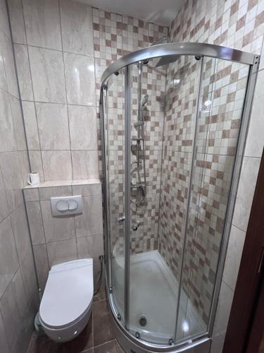 a bathroom with a shower with a toilet in it at Apartments Divanhana 2 in Kiseljak