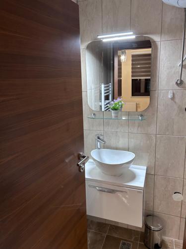 a bathroom with a sink and a mirror at Apartments Divanhana 2 in Kiseljak