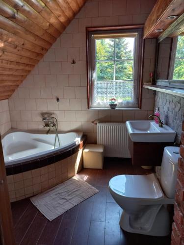 a bathroom with a tub and a toilet and a sink at Dom pod gwiazdami in Gamerki Wielkie