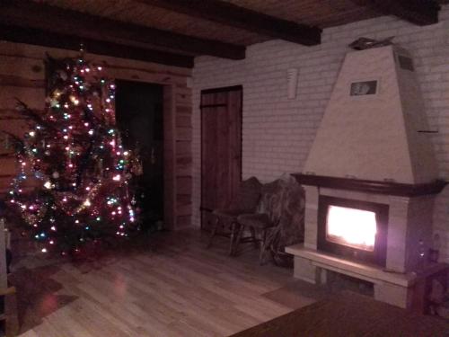 a christmas tree in a living room with a fireplace at Dom pod gwiazdami in Gamerki Wielkie