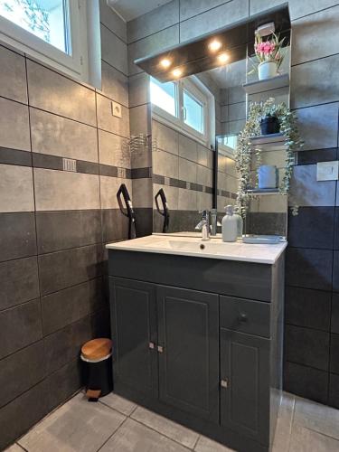 une salle de bain avec un lavabo et un miroir dans l'établissement Écrin des Iris, au Bourg-dʼOisans