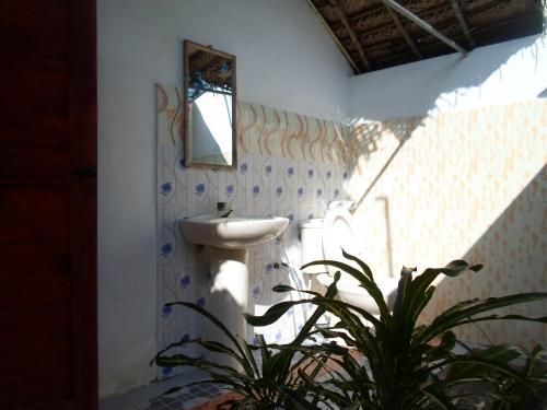 a bathroom with a sink and a plant in it at Inn On The Bay in Pasikuda