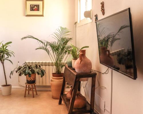 a living room with potted plants and a tv at Vista Terraza Illora in Illora