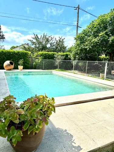 une piscine avec une plante en pot à côté d'une clôture dans l'établissement Charmante villa rénovée avec piscine, à Montélimar