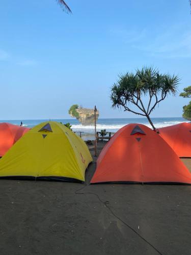 eine Gruppe von Zelten am Strand in der Nähe des Ozeans in der Unterkunft Sewa Tenda Pantai Madasari in Madasari