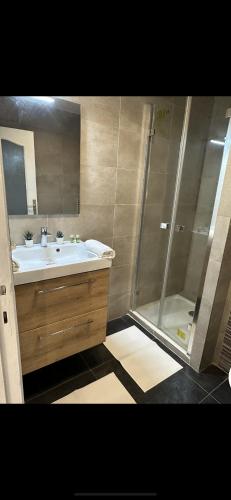 une salle de bain avec un lavabo et une douche dans l'établissement Grand Studio Cosy Cannes Centre, à Cannes
