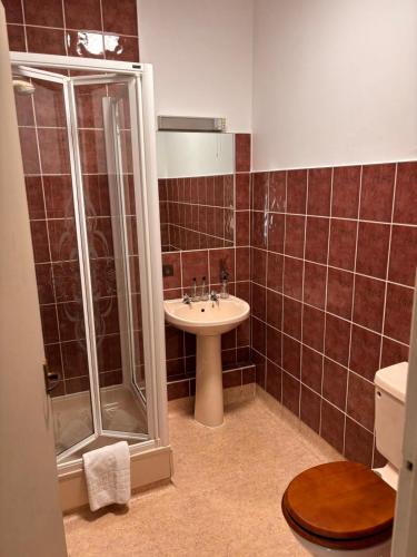 a bathroom with a shower and a sink at Harley's in Aberystwyth