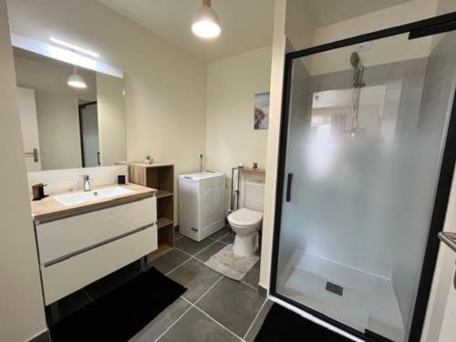 une salle de bain avec toilettes, lavabo et douche dans l'établissement Cabane la Luna 400m Ocean et forêt Cosy Confort, à Mimizan