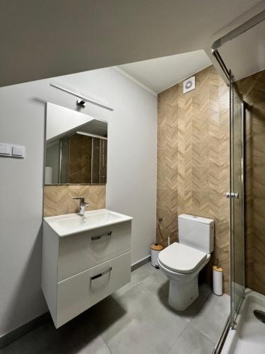 a bathroom with a toilet and a sink and a shower at OW LIWIA w Niechorzu in Niechorze