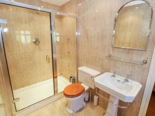 a bathroom with a toilet and a sink and a shower at Beautifully restored cottage nr Knock County Mayo in Kilkelly
