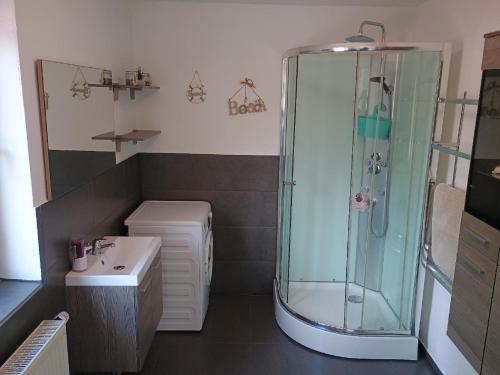 a bathroom with a shower and a sink at Ferienwohnung zur Wacht in Viechtach