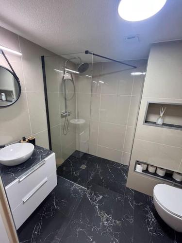 une salle de bain avec toilettes, lavabo et douche dans l'établissement Superbe studio avec Jacuzzi a Montpellier pres d arene, à Montpellier
