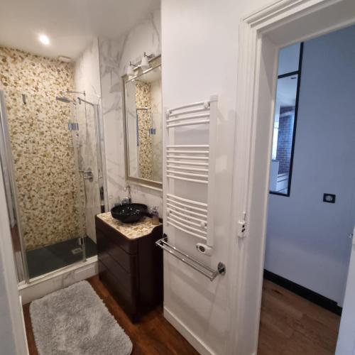 une salle de bain avec douche et lavabo dans l'établissement Haussmannien Appartement 10 min Champs-Élysées, à Neuilly-sur-Seine