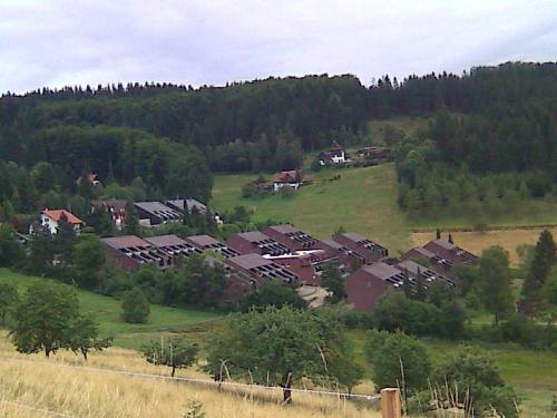 Příroda nedaleko apartmánu