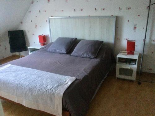 a bedroom with a large bed with two pillows at Le Hameau du moulin a vent in Saint-Avertin