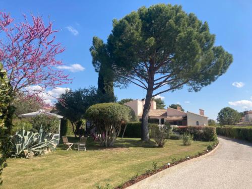 a tree in the yard of a house at Les Bougainvillées de Camargue in Villetelle