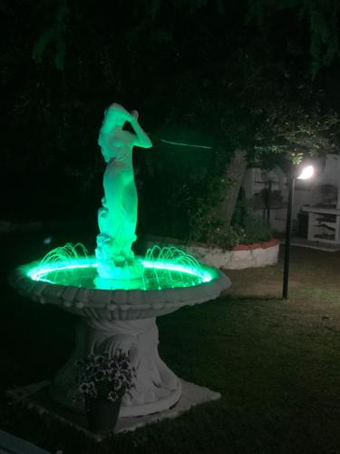 馬里納－迪格羅塞托的住宿－伊莎貝拉別墅酒店，夜晚在院子里的绿色灯光喷泉