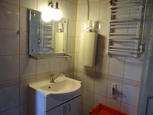 a bathroom with a sink and a mirror at Agroturystyka Oczko in Ogonki