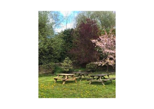 two picnic tables in a park with trees and flowers at Soli Hostel in Alton