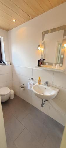 a bathroom with a sink and a toilet and a mirror at Hotel Schneiderhof in Braunlage