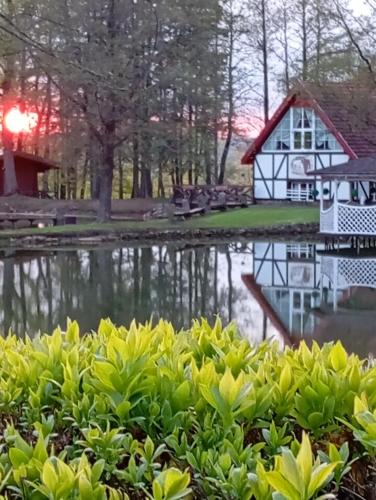 a view of a house and a lake at Gazdų Vandens Malūnas in Navininkai