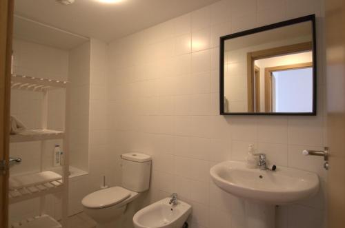 a bathroom with a sink and a toilet and a mirror at APARTAMENTO LABEGAIN 2 in Sestao