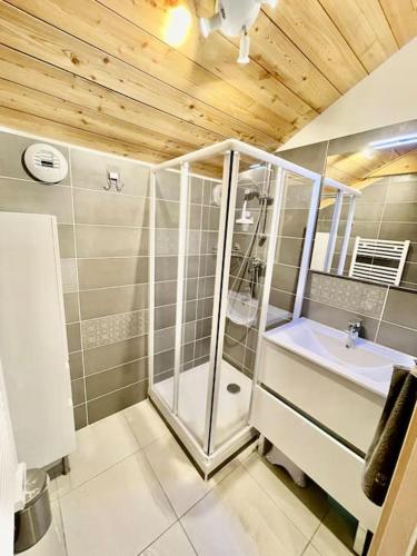 une salle de bain avec douche et lavabo dans l'établissement La TANIÈRE du LOUP, à Saint-Étienne-en-Dévoluy