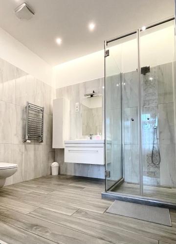 a bathroom with a shower and a toilet and a sink at Trigon Palace in Budapest