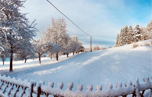 L'établissement Ferienhaus In Sagerberg en hiver