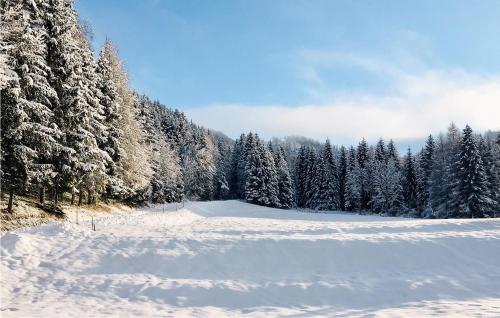 L'établissement Ferienhaus In Sagerberg en hiver