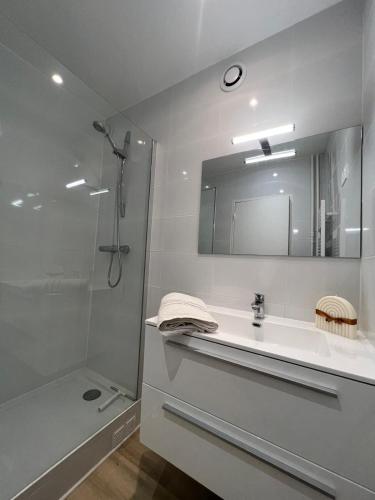 une salle de bain avec une douche, un lavabo et un miroir dans l'établissement EXCEPTIONNEL - Appartement près TOUR EIFFEL, à Paris