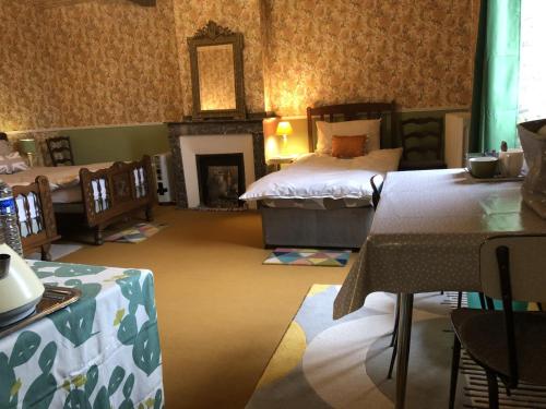 a bedroom with two beds and a fireplace in it at 53Bou in Uglas