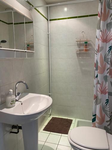 une salle de bain avec un lavabo, des toilettes et une douche dans l'établissement Le Studio de Marcy, à La Ferté-sous-Jouarre