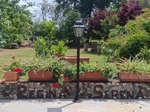 a street light next to a stone wall with potted plants at ReginaSerena in Certaldo