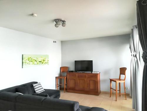 uma sala de estar com um sofá e uma televisão em Appartement de 2 chambres a Saint Pierre a 600 m de la plage avec vue sur la mer piscine partagee et terrasse amenagee em Saint-Pierre