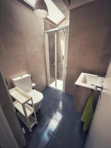 a bathroom with a toilet and a sink at La casa Pedalejo in Benasque
