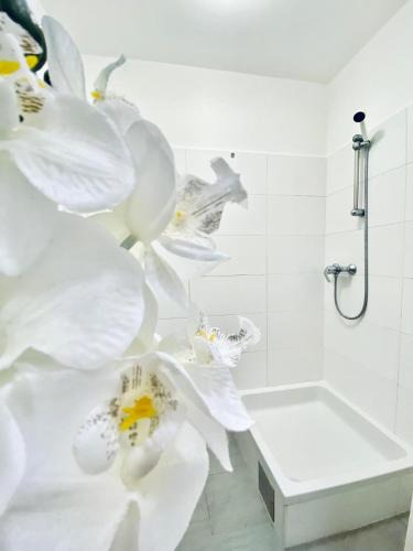 Budget Private Rooms in 8-Bedroom Apartment with Terrace