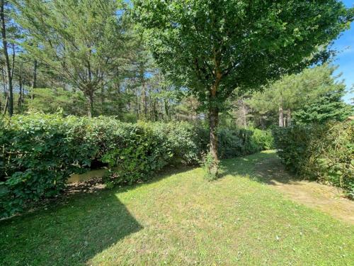 Photo de la galerie de l'établissement FORET PISCINE COLLECTIVE VICTORIA 404, à Saint-Jean-de-Monts