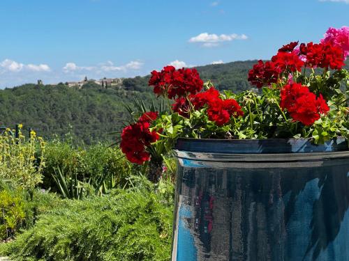 a vase filled with red flowers in a field at Le clos des songes. in Saint-Christol-de-Rodières