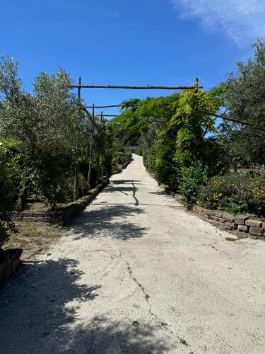 a dirt road with trees and bushes on it at Agriturismo Piccolo Paradiso in Piano di Sorrento