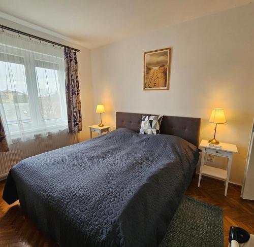 a bedroom with a bed and two tables with lamps at Adri Apartman in Zalakaros