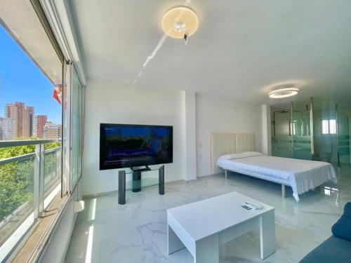 Magnificent Mediterraneo Studio