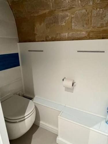 a bathroom with a white toilet and a brick wall at Beau studio dans un cadre exceptionnel de verdure in Maisons-Laffitte