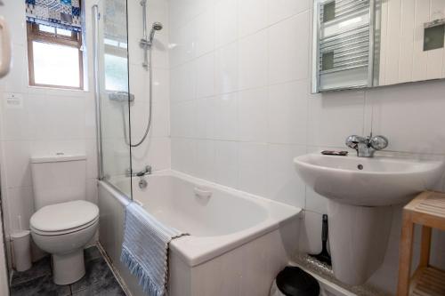 a white bathroom with a toilet and a sink at Ty Hydref in Beaumaris