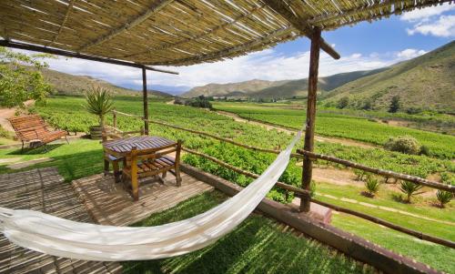 a hammock on a patio with a view of a field at Pat Busch Mountain Reserve in Robertson