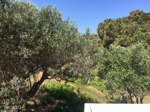 Gallery image of Rita's Beachfront House in Kampos Paros